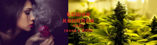 PSILOCYBIN Новочеркасск