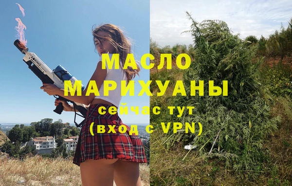 мдпв Вяземский