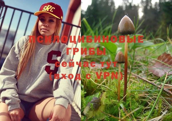 PSILOCYBIN Уссурийск