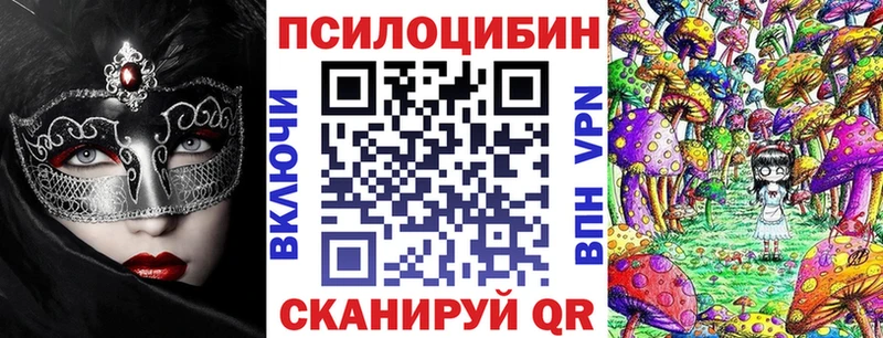 цена наркотик  Аткарск  Псилоцибиновые грибы Psilocybe 